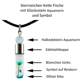 Sternzeichen Fische, 20. Februar - 20. März, Halskette mit Glücksstein Aquamarin und Sternzeichensymbol - 0