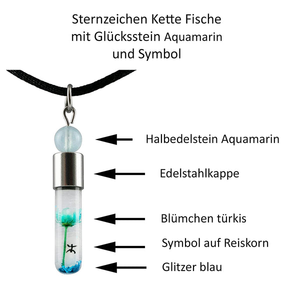 Sternzeichen Fische, 20. Februar - 20. März, Halskette mit Glücksstein Aquamarin und Sternzeichensymbol