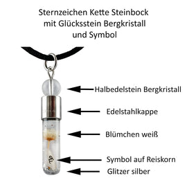Sternzeichen Steinbock, 22.Dezember - 20. Januar, Halskette mit Glückstein Bergkristall und Sternzeichensymbol - 0
