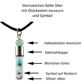 Sternzeichen Stier, 21. April - 20. Mai, Halskette mit Glückstein Aventurin und Sternzeichensymbol - 0