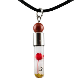 Sternzeichen Widder, 21. März - 20. April, Halskette mit Glücksstein roter Jaspis und Sternzeichensymbol