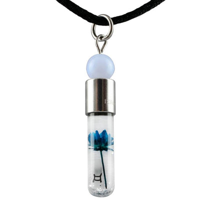 Sternzeichen Zwilling